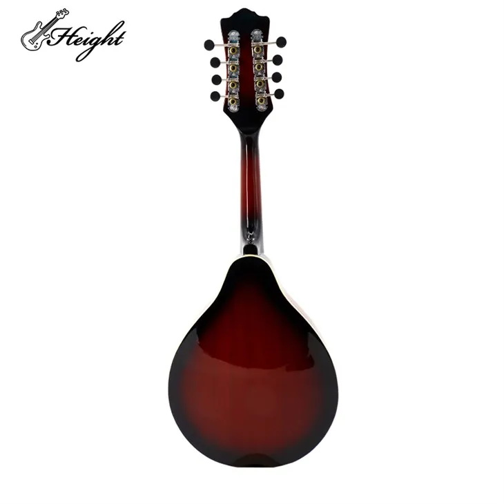 Acoustic-Electric Mandolin: Versatile Tone
