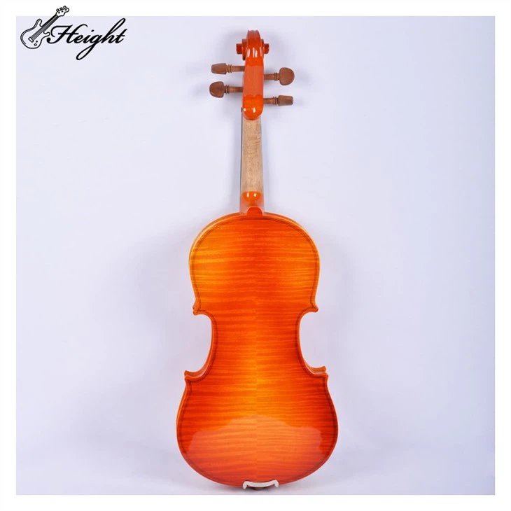 Classical Professional Violin